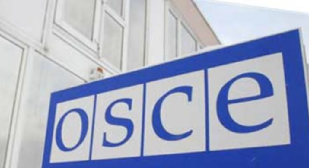 OSCE to examine human rights in Georgia/ JAMnews