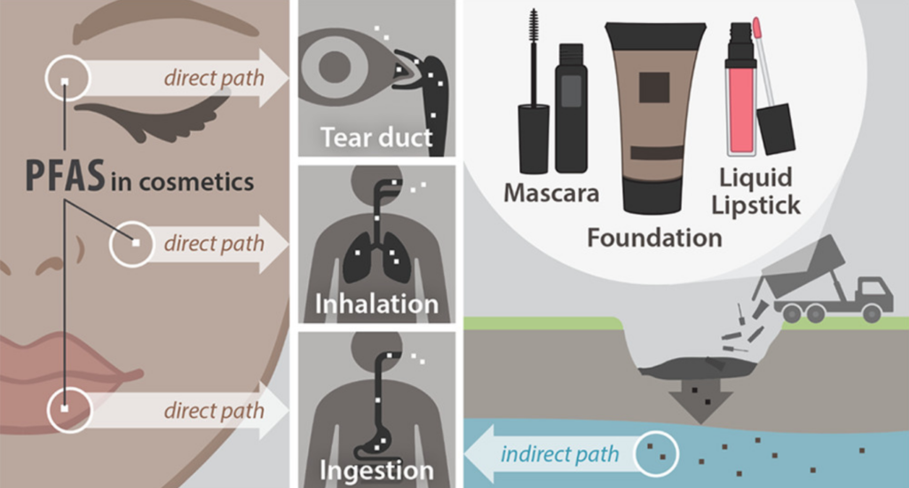 cosmetics beauty products exposure pathway