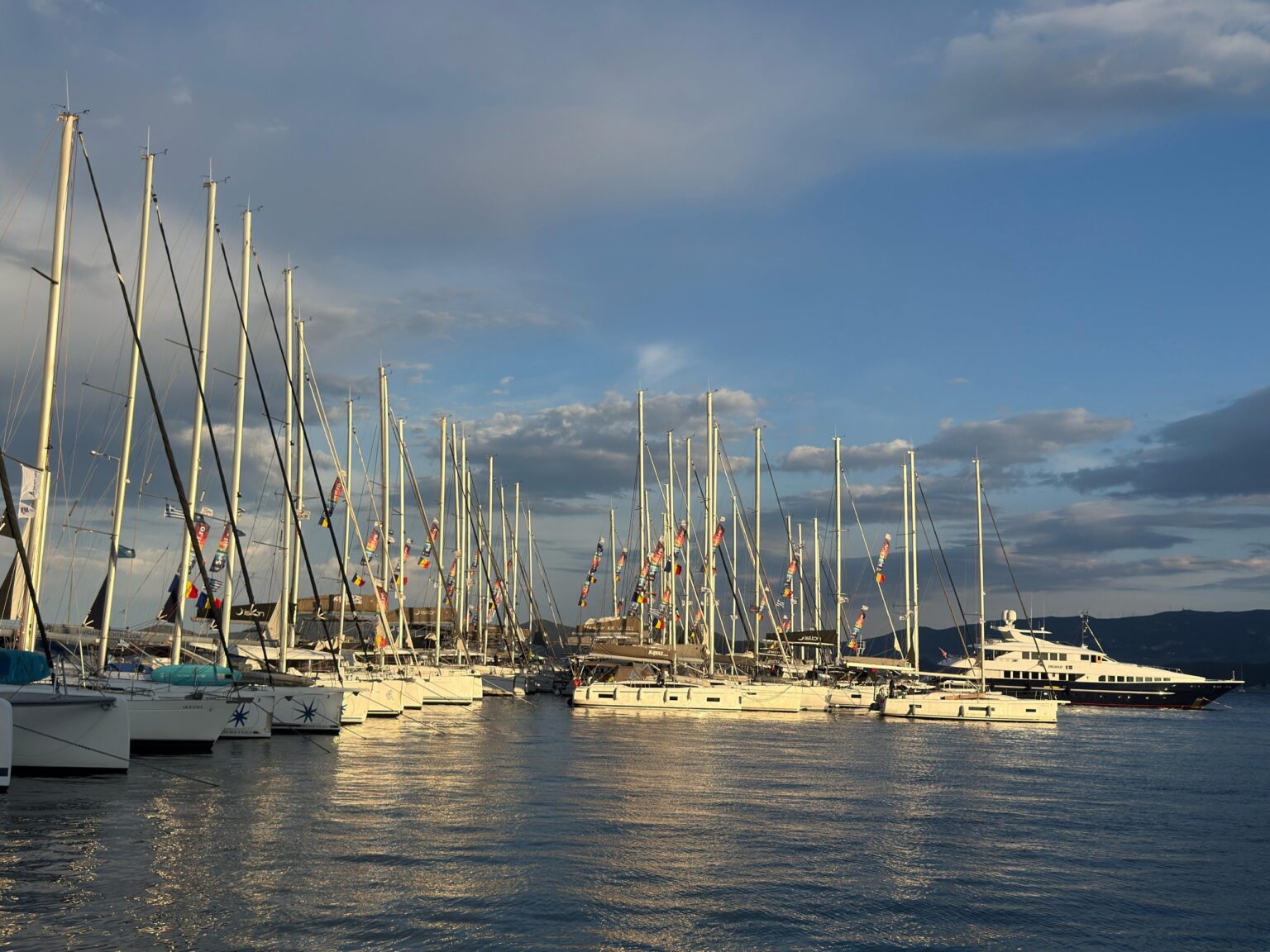 SetSail, one of the leading sailing schools in Romania, reports growth among business leaders