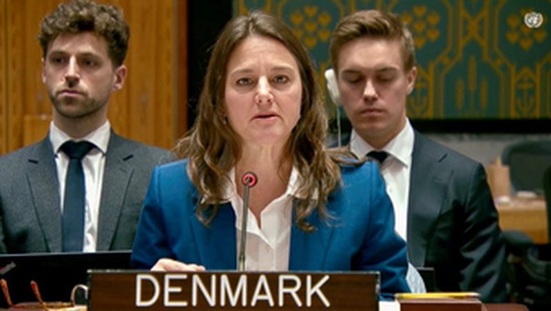 Statement by Ambassador Sandra Jensen Landi, Deputy Permanent Representative of Denmark to the United Nations, Denmark, at the UNSC briefing by ICC on Darfur