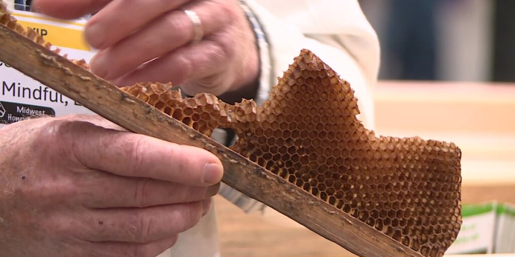 HoneyBee Expo kicks off at Alliant Energy Center