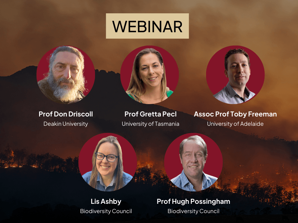 Webinar: Preparing for a more volatile future