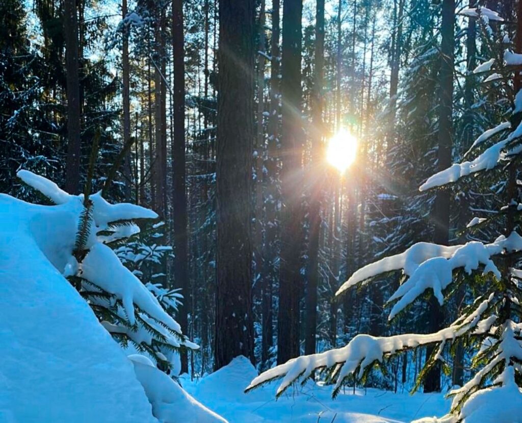 From frost to thaw: significant weather changes in Latvia over the weekend