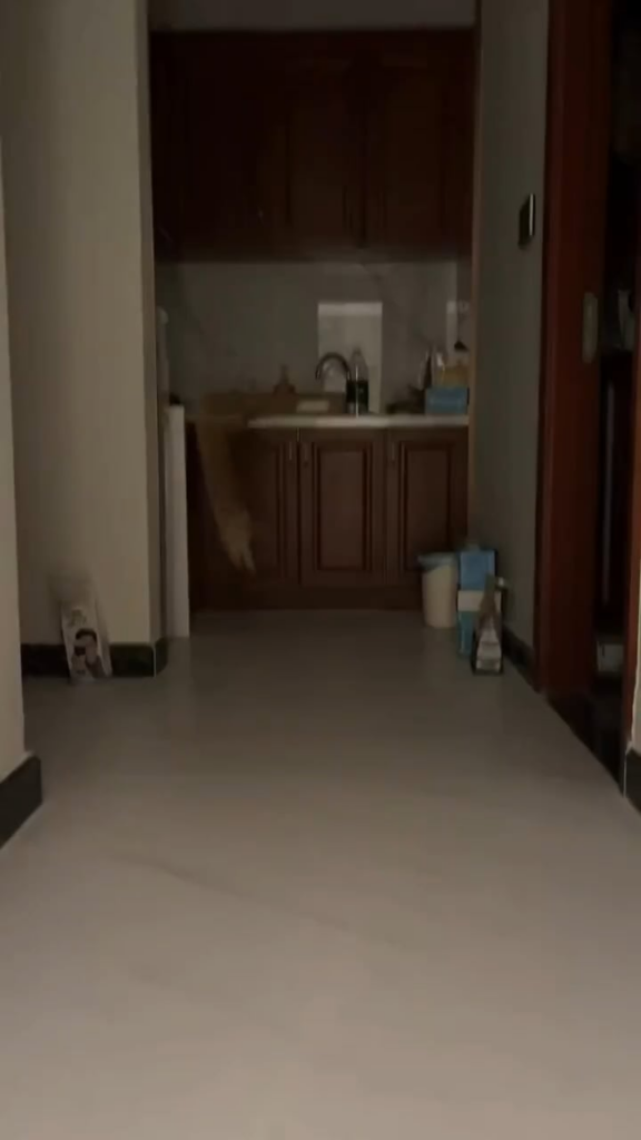 Catbot