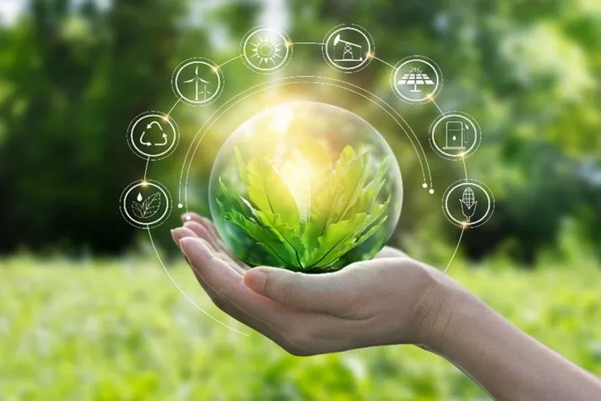 COP31: Türkiye's green transformation and climate economics