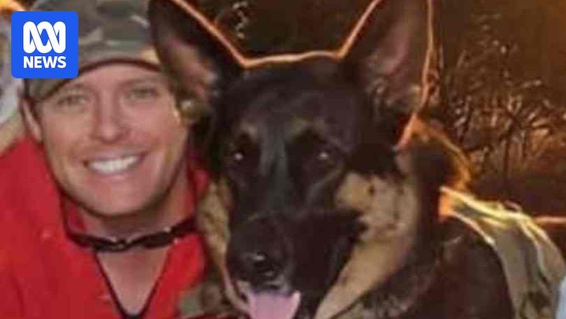 Owner who claimed Arnie the dog was stolen sentenced for killing German shepherd