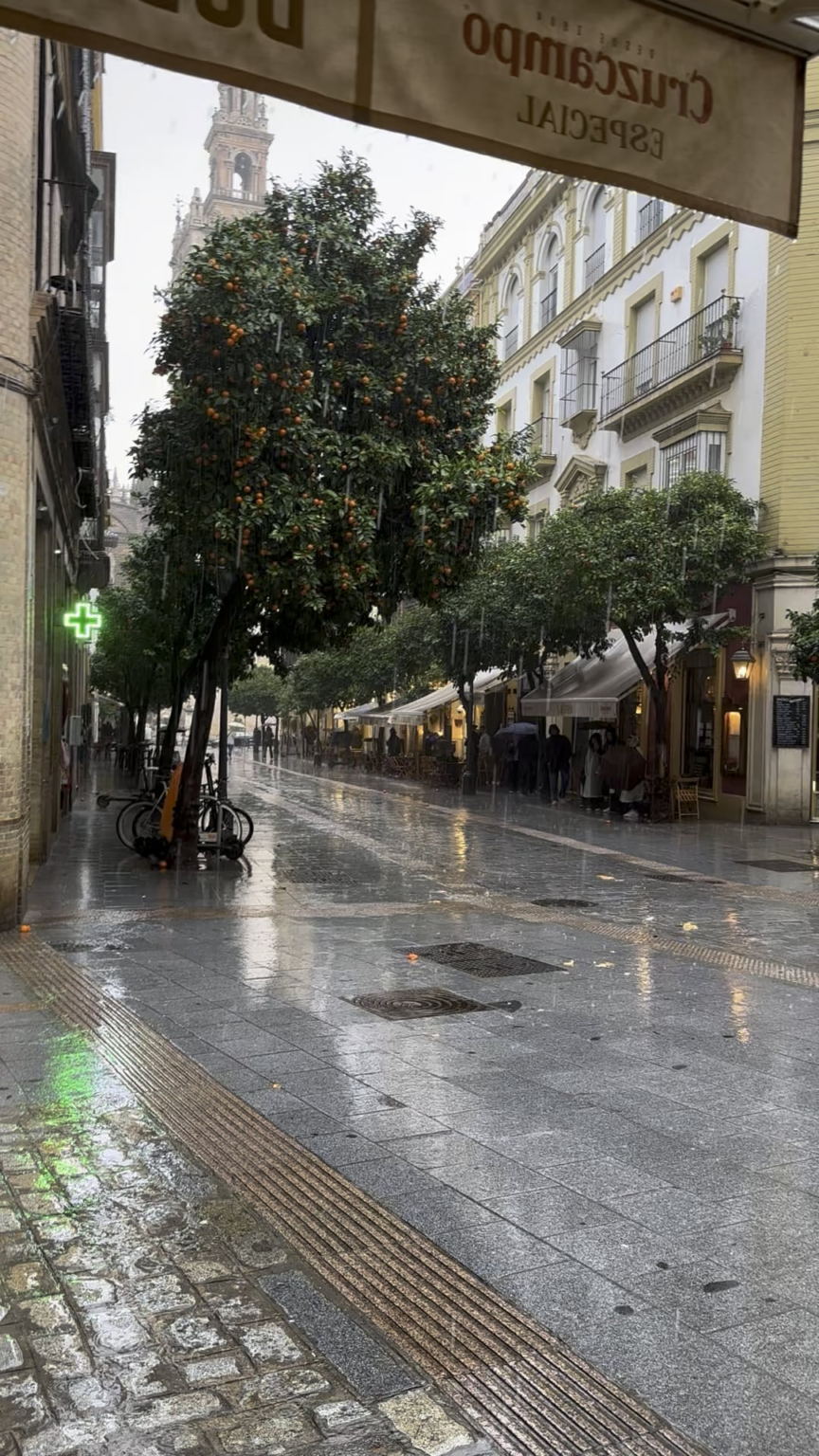 Sevilla rain ☔️