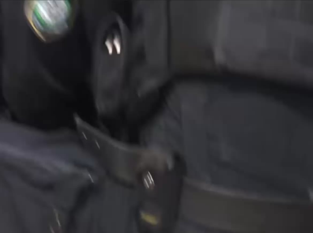 Protestor held down and punched repeatedly in the hand and liver