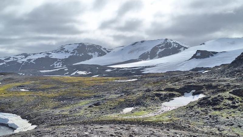 Scientists Reveal Our Best- And Worst-Case Scenarios For A Warming Antarctica – Eurasia Review