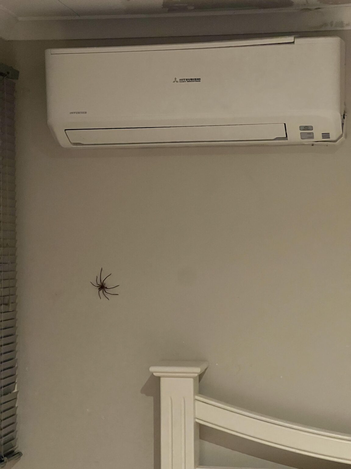 The roommate