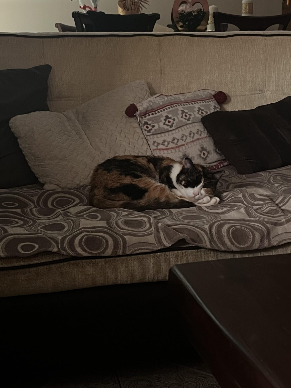 He woke up and went back to sleep
