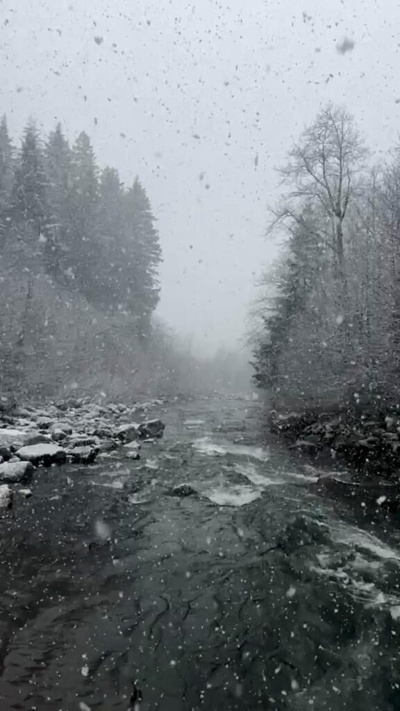 Scene report from Mt Hood NF