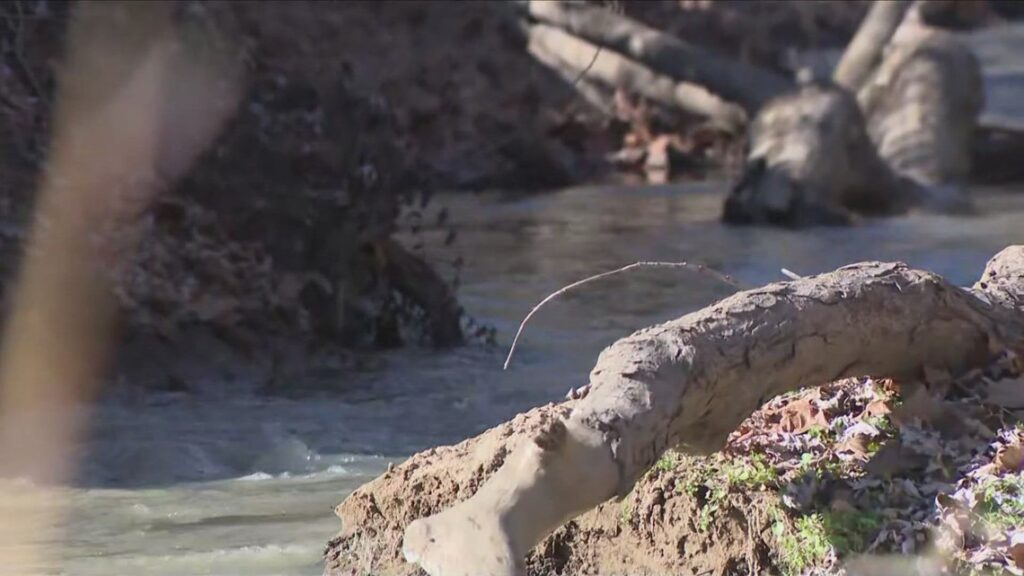 Agencies warn residents not to touch Potomac River after massive sewage spill