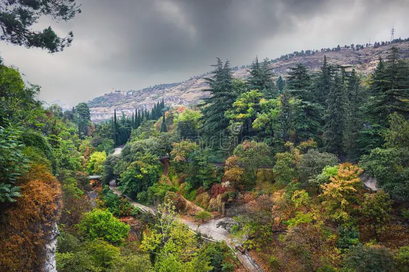 i only know that the tbilisi botanical garden was told as royal gardens in 18th and 17th century, but was there any settletment in medieval or other times? or was botanical garden always a royal graden during its history? what is history behind it other then 18-17th centuries?