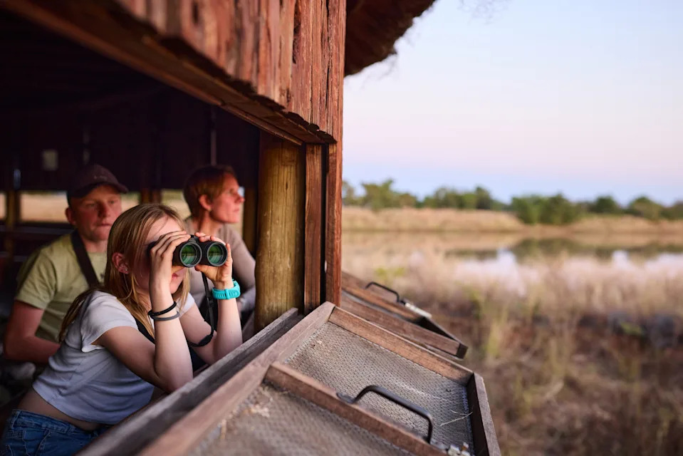 Group of people watching wildlife from a wooden hide in the Kruger Park, South Africa, enjoying the natural scenery and spotting animals near a picturesque watering hole during golden hour.