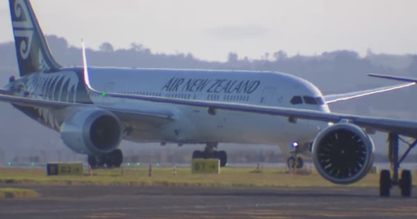 Air New Zealand posts multi-million dollar first-half loss