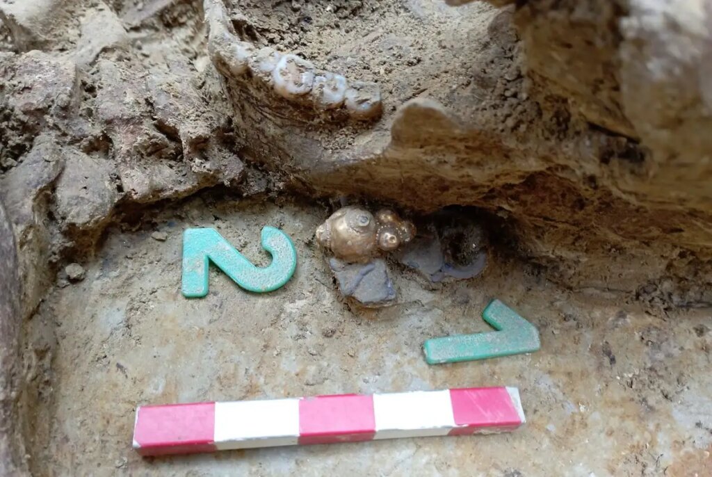 Avar period discovery could rewrite Hungarian history