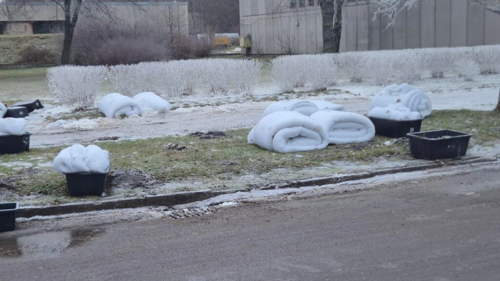 Someone is trying to steal my snow :((