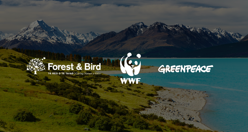 A shared roadmap to building a nature positive Aotearoa