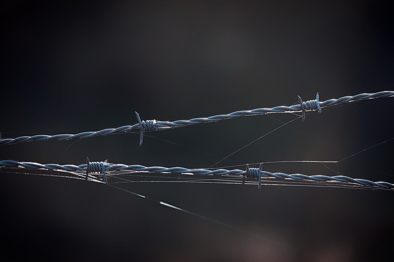 Close-up photograph of barbed wire strands stretched horizontally against a dark, blurred background.