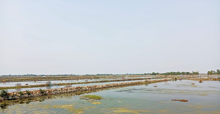 New Age | Soil, salinity and survival