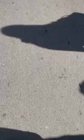 The driver verbally attacked high school graduates and professors of the Novi Sad high school while delivering the mail