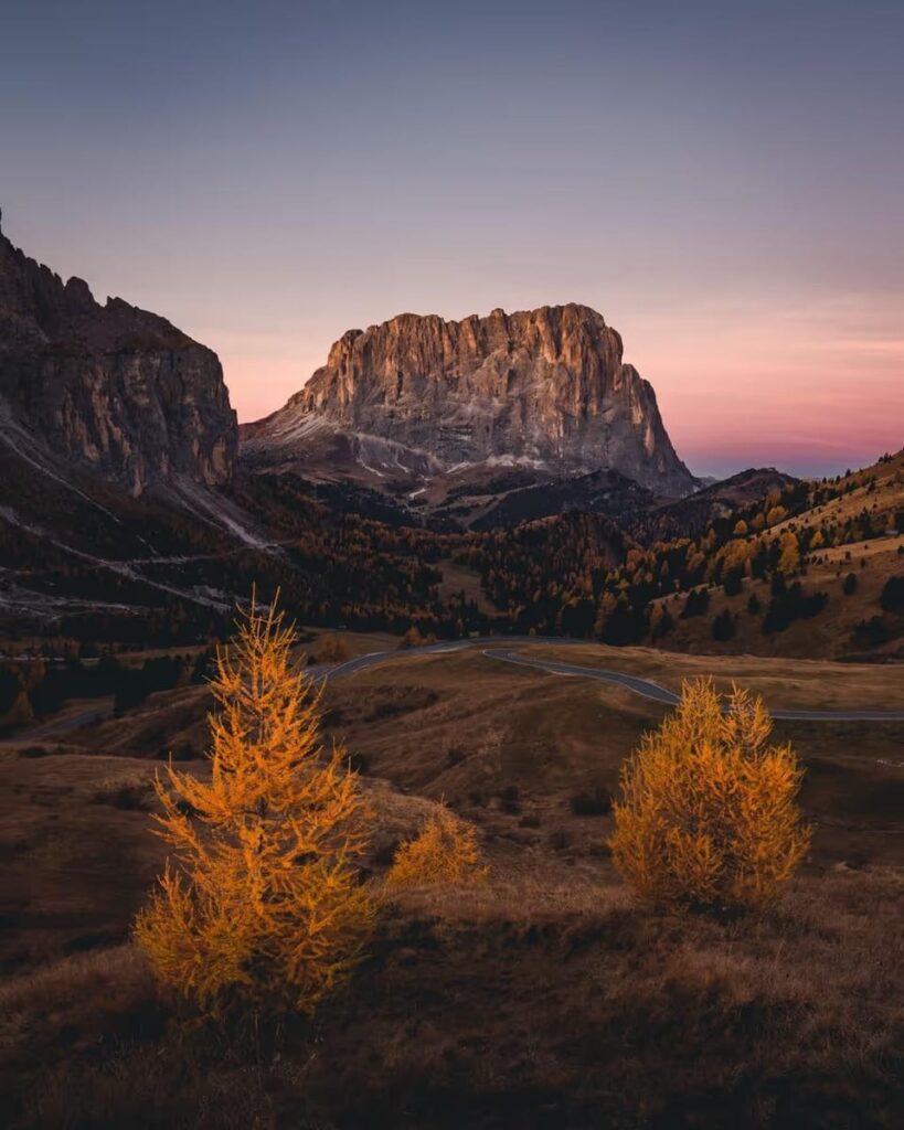 The miracle of nature in the early hours of the morning