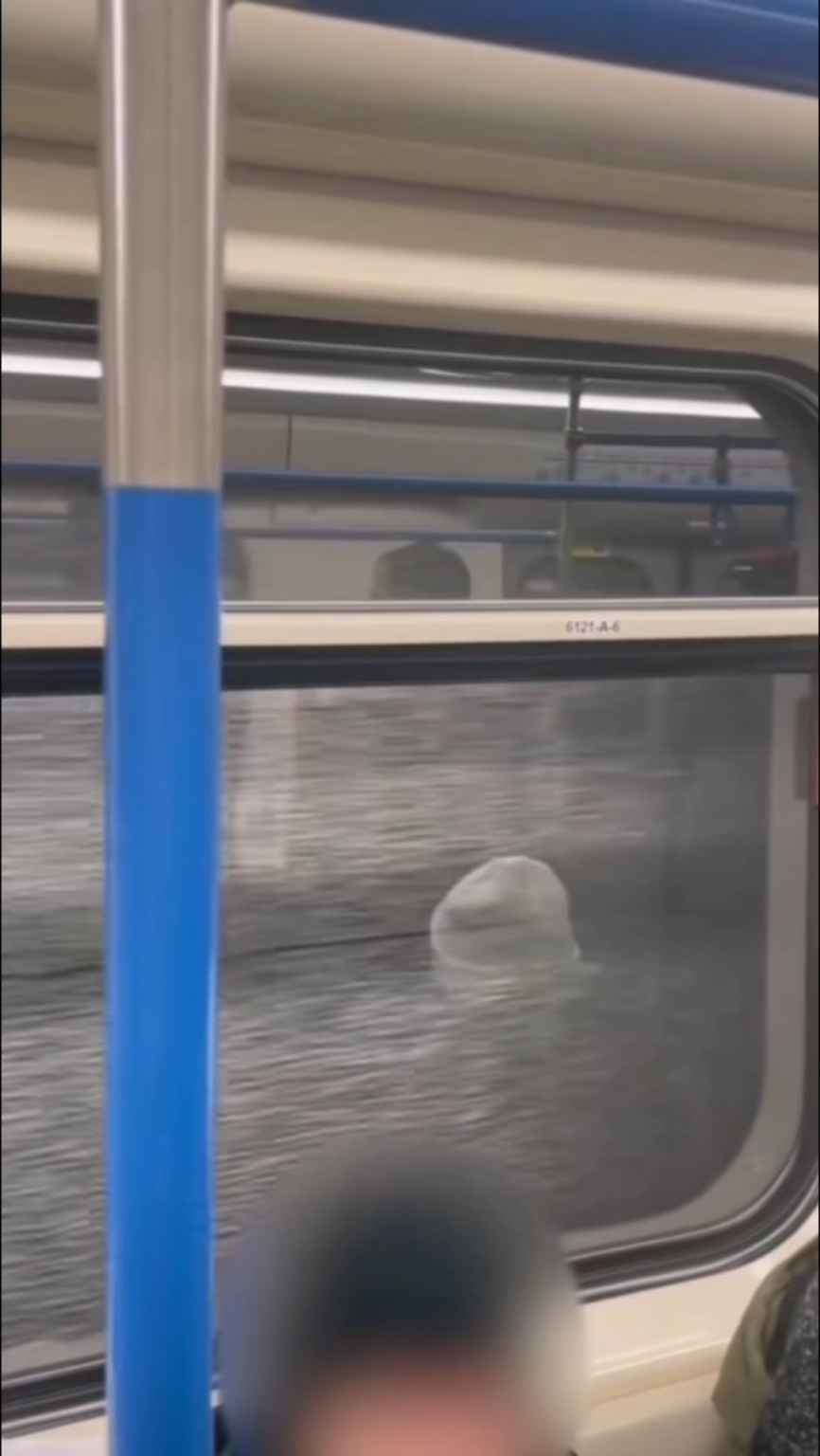 That's so good to hear