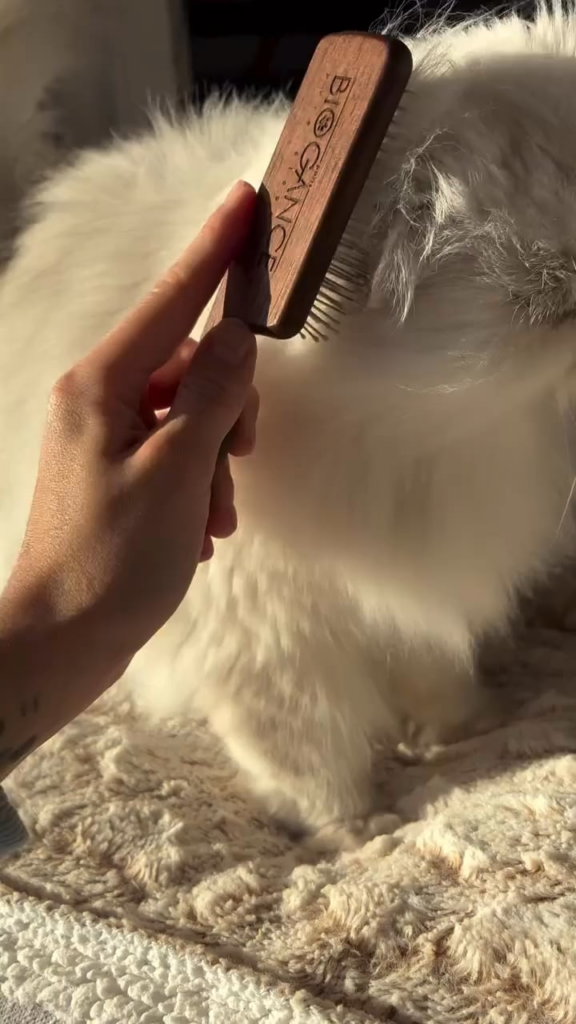 Beautiful fluff 😍