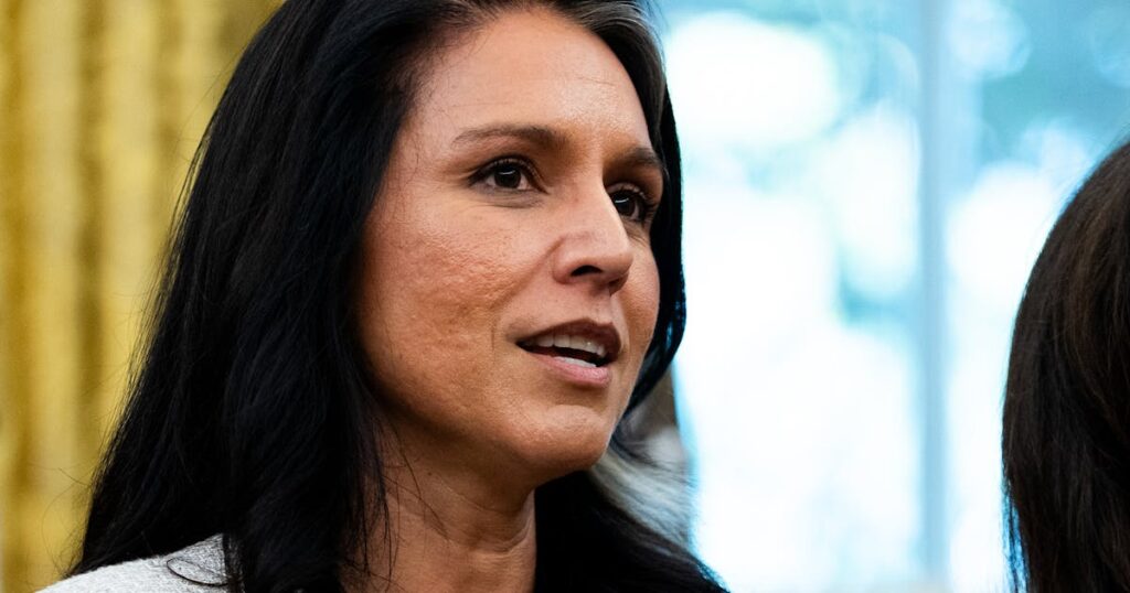 Trump Caught in Obvious Lie on Tulsi Gabbard Joining FBI Georgia Raid