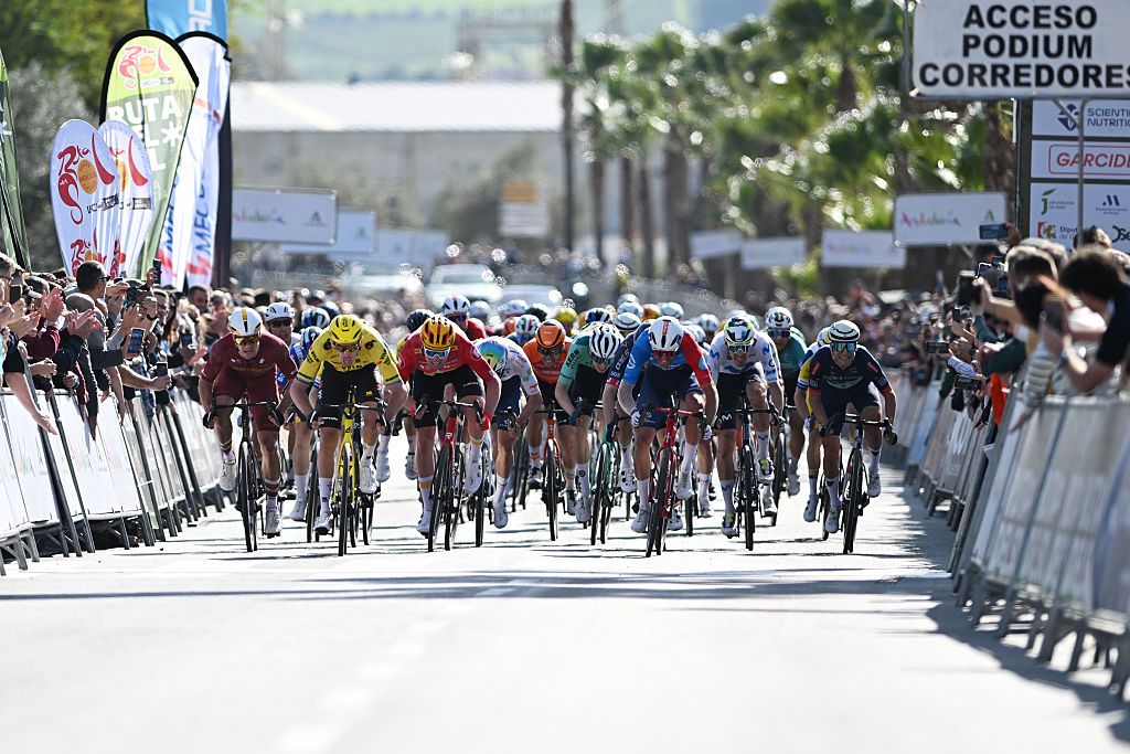 PIZARRA, SPAIN - FEBRUARY 18: Christophe Laporte of France and Team Visma