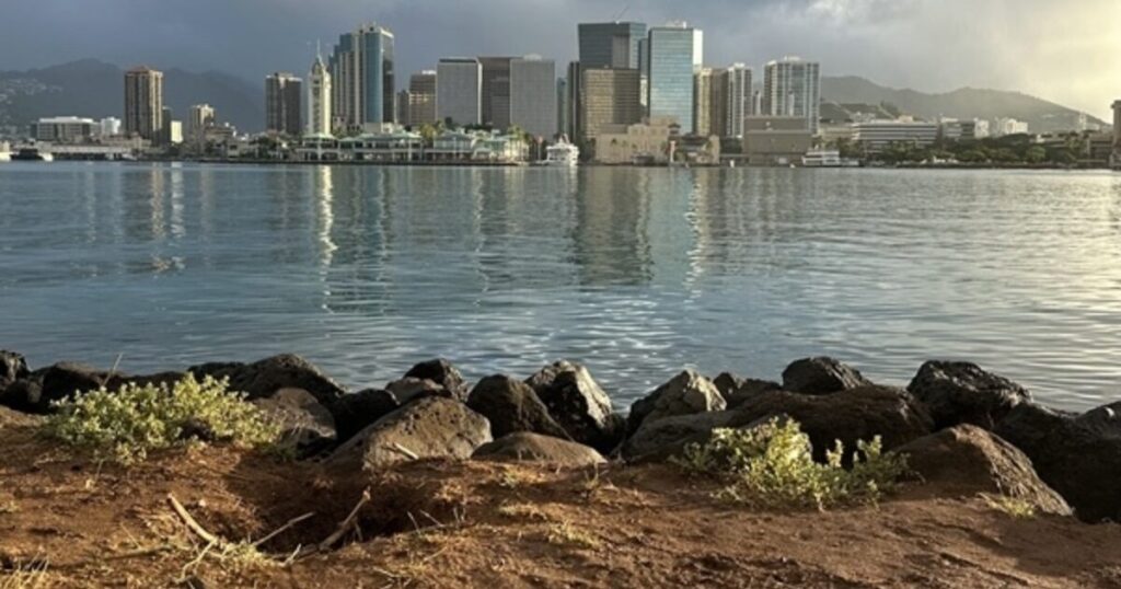 Aloha State Daily logo