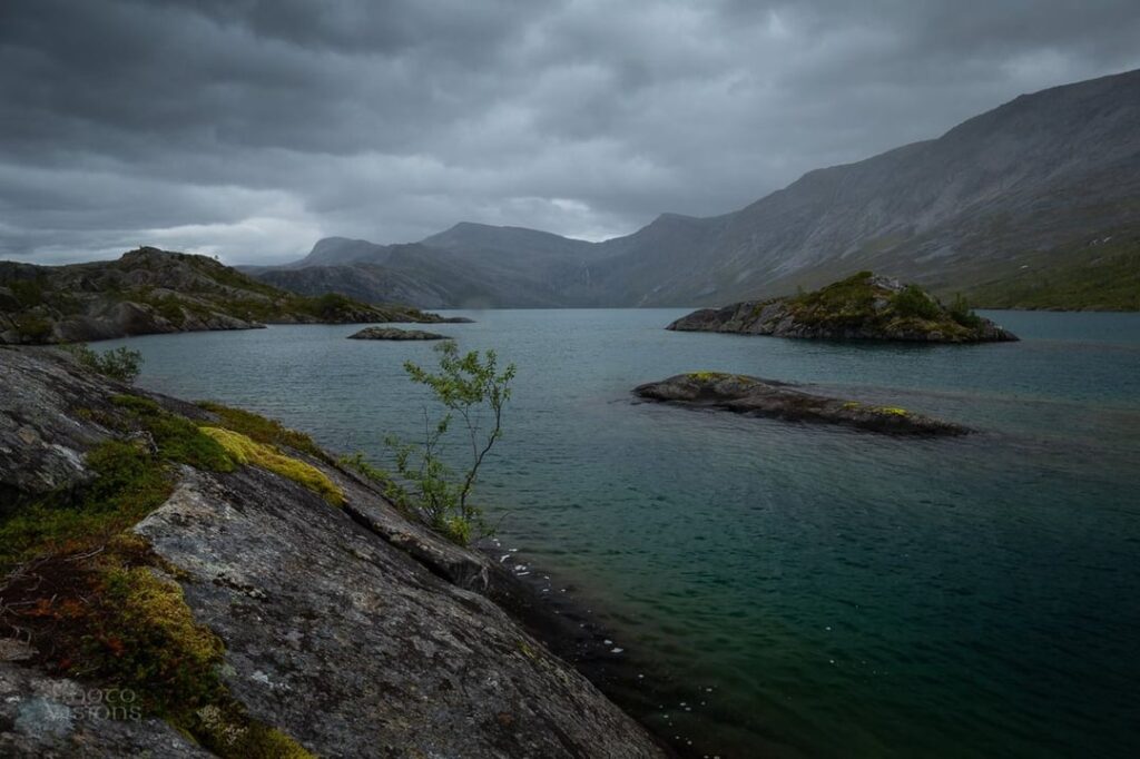 Rago National Park - Norway