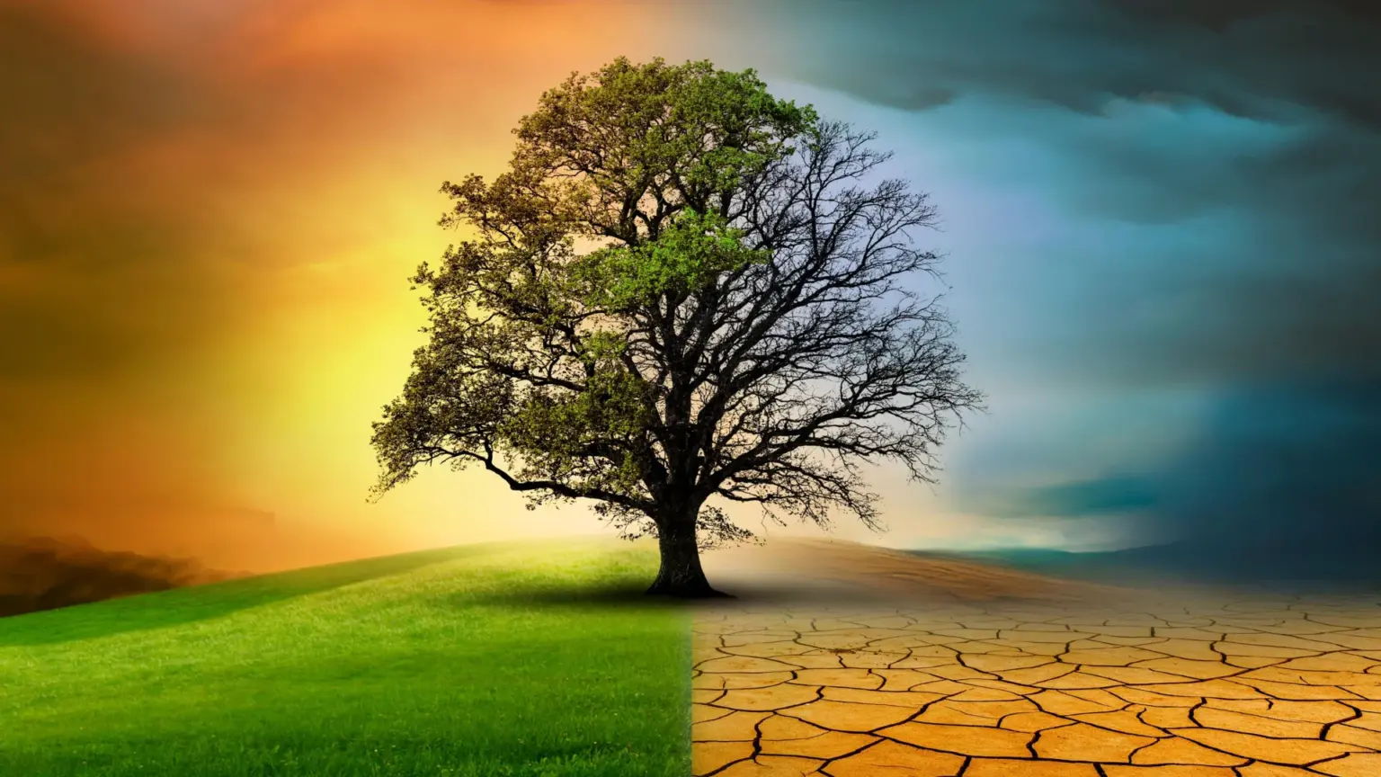 Climate change is accelerating but nature is slowing down