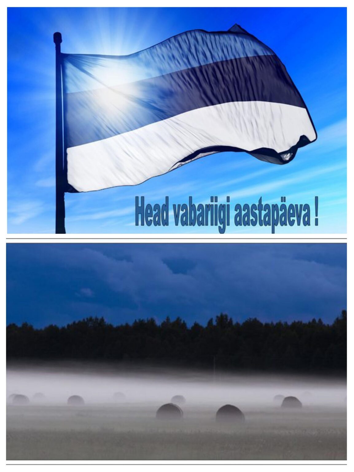 Happy anniversary of the Republic of Estonia!