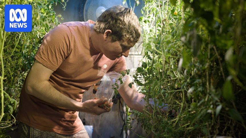 Australian Antarctic team yields big haul of fresh produce with hydroponics - A total of 130 kilograms of tomatoes, cucumbers, lettuce and herbs have been grown over 12 months, giving the station's chefs fresh ingredients for meals