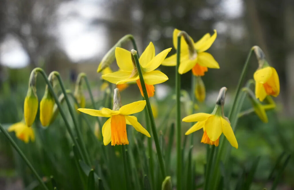 How long will the warm and sunny UK weather last?