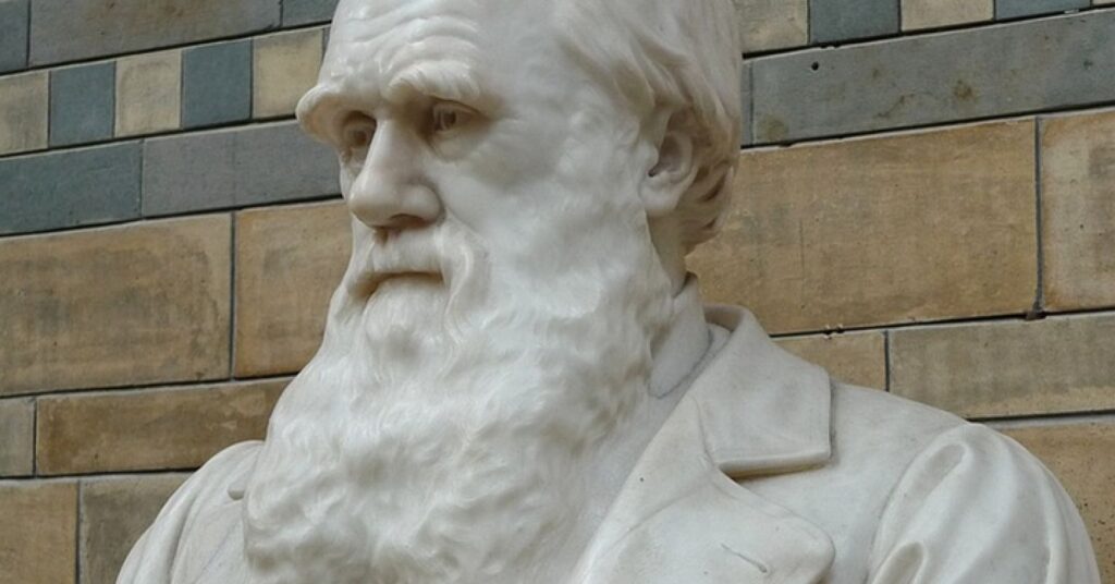 10 Reasons to Celebrate Darwin Day
