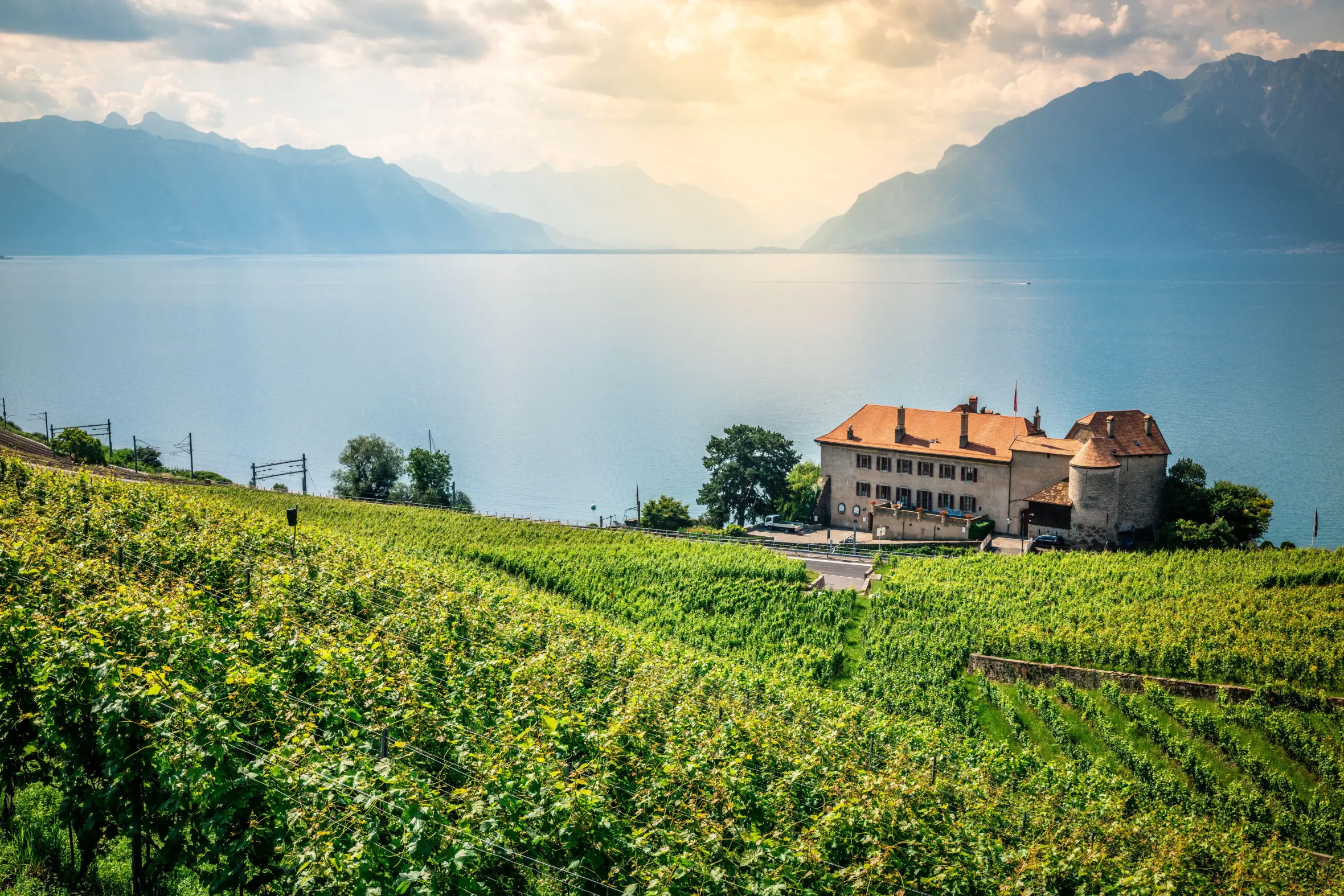 Scenic view of Lake Geneva and Lavaux terraced vineyards with dramatic light.