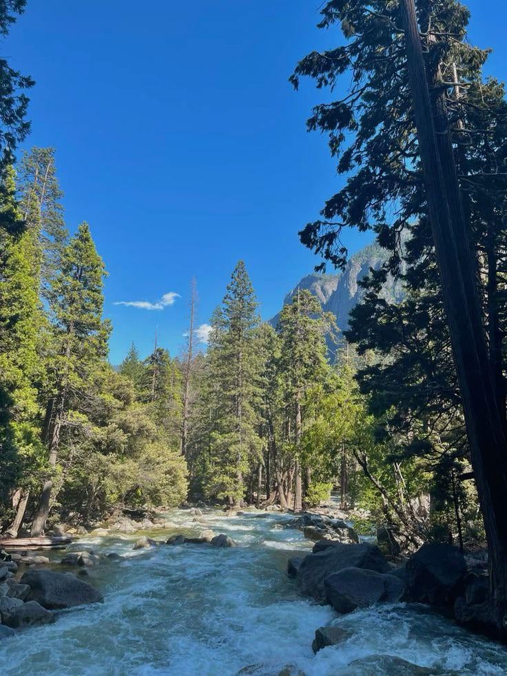 Yosemite lower falls