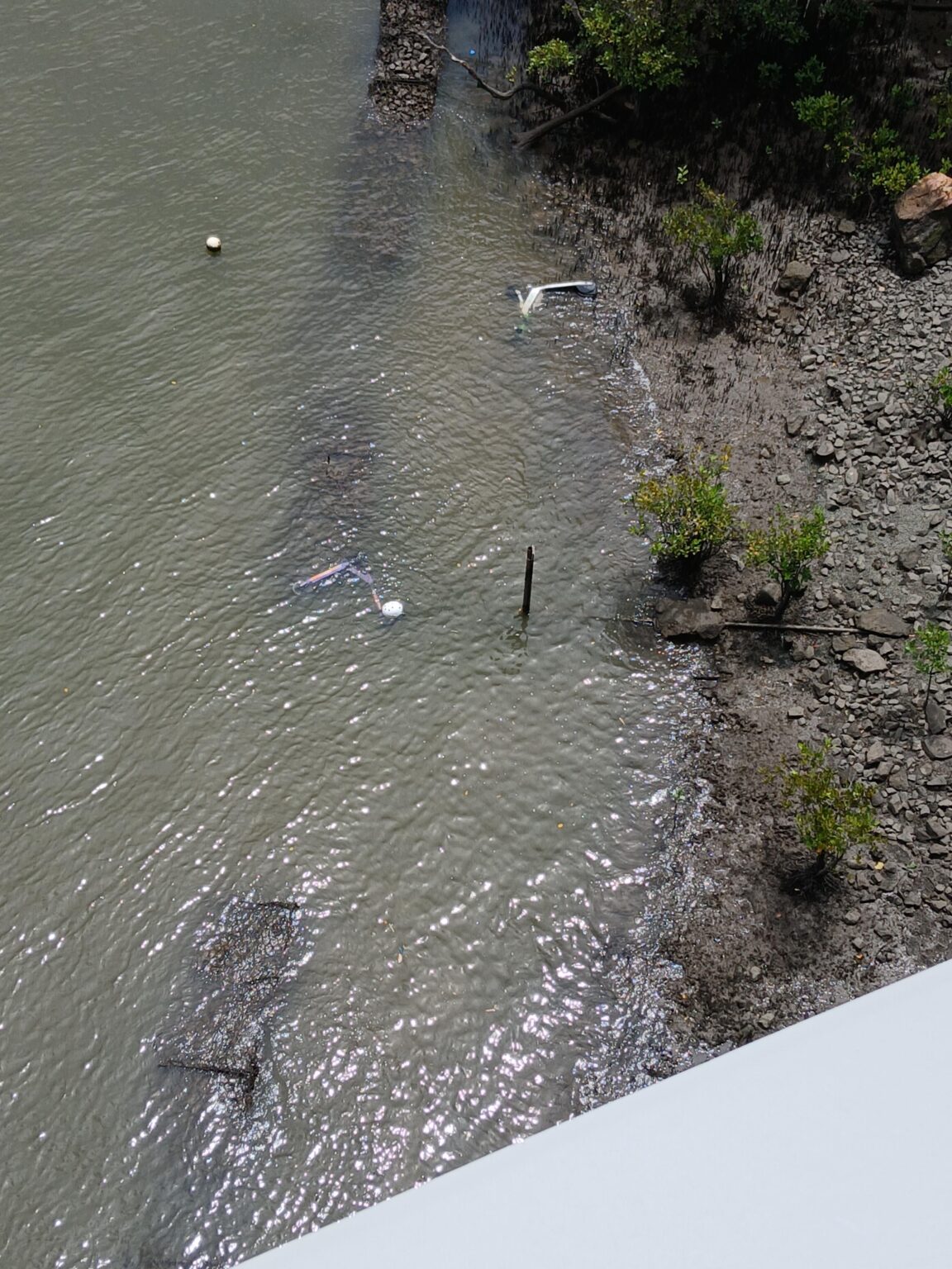 People throwing scooters off the Kangaroo Point bridge. How bad is this for the river?