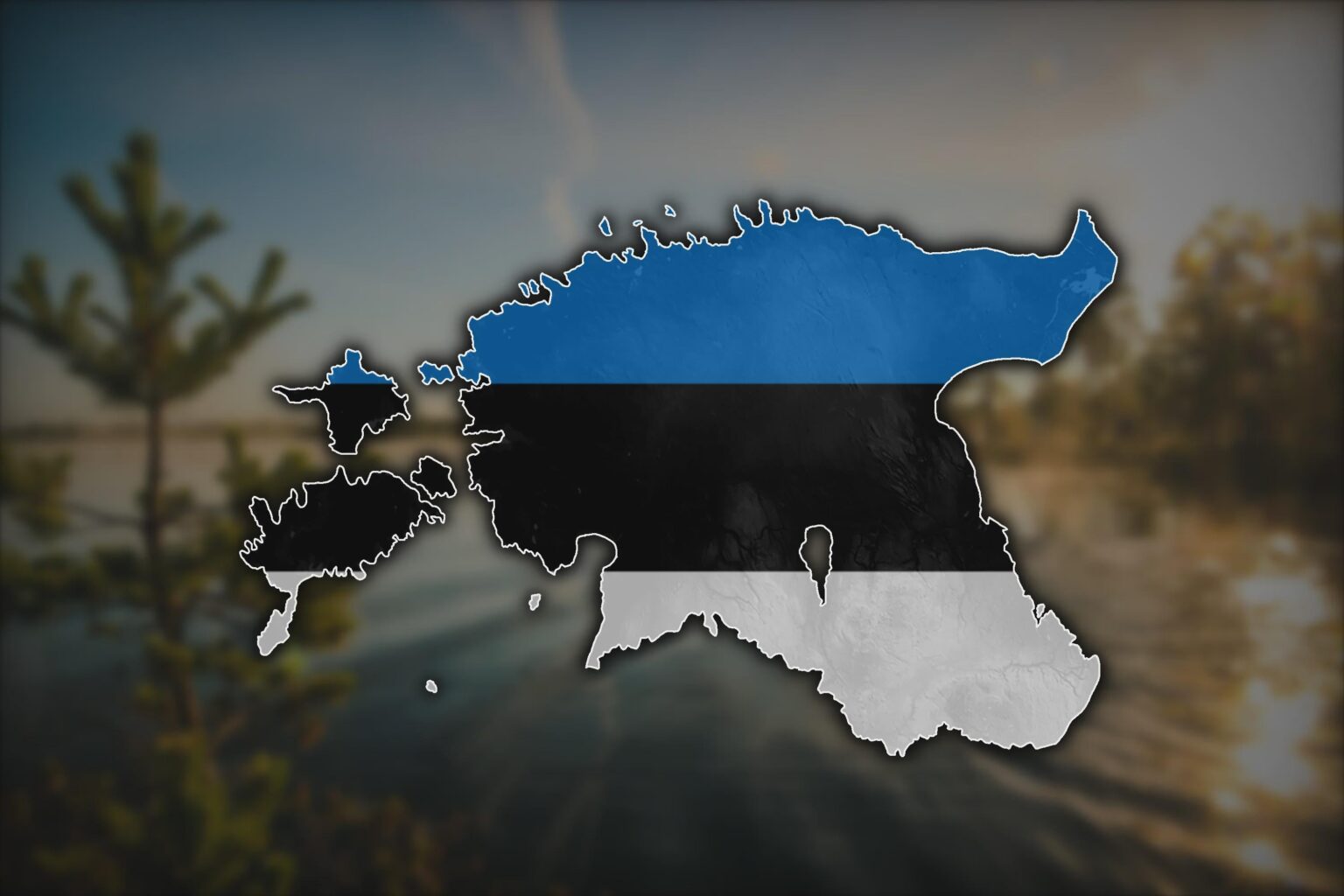 Happy Anniversary of the Republic of Estonia!