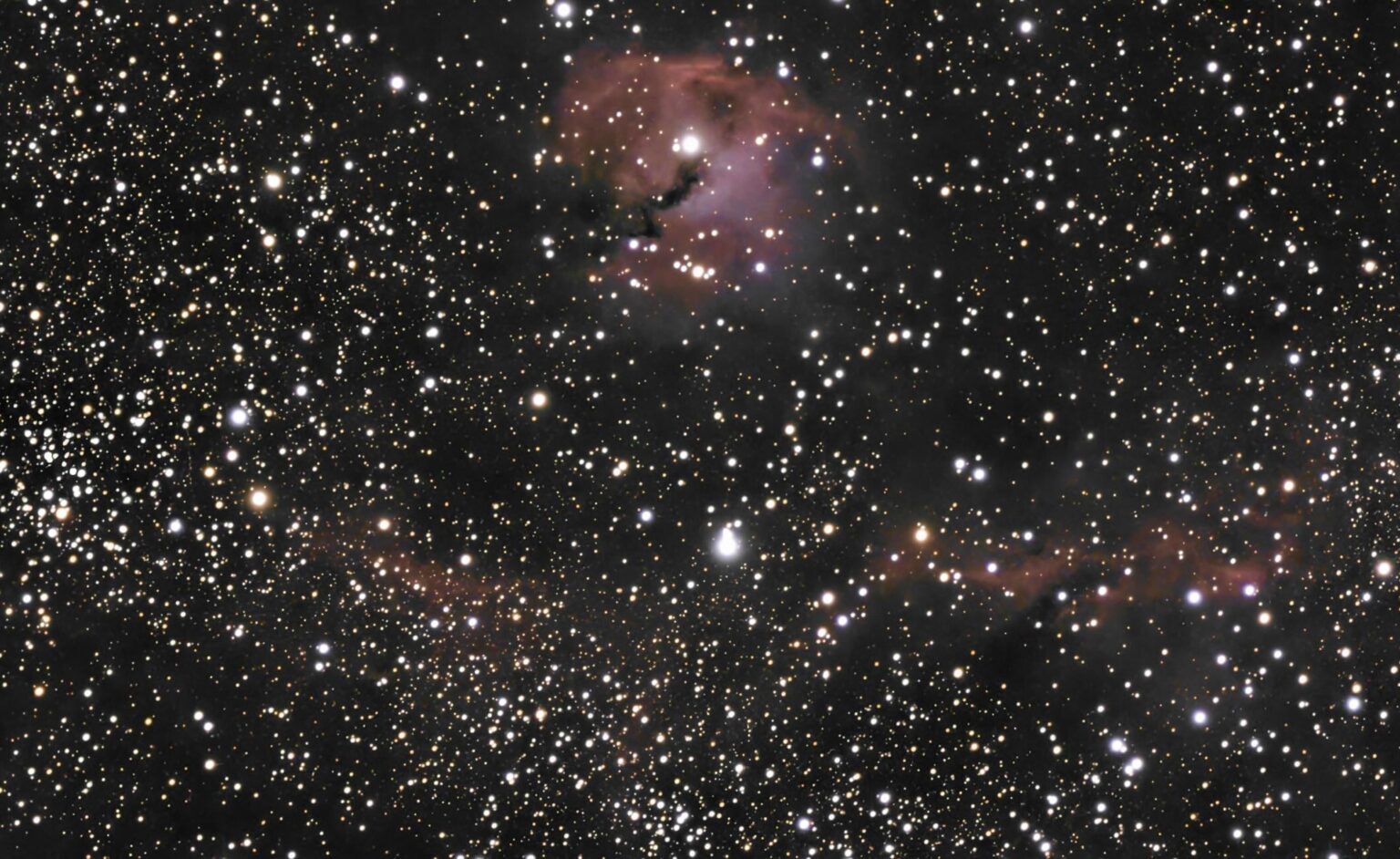 Tonight's Photo Of The Seagull Nebula.