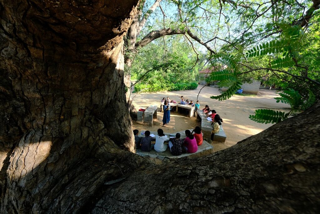 Lessons from a Childhood Immersed in the Environment