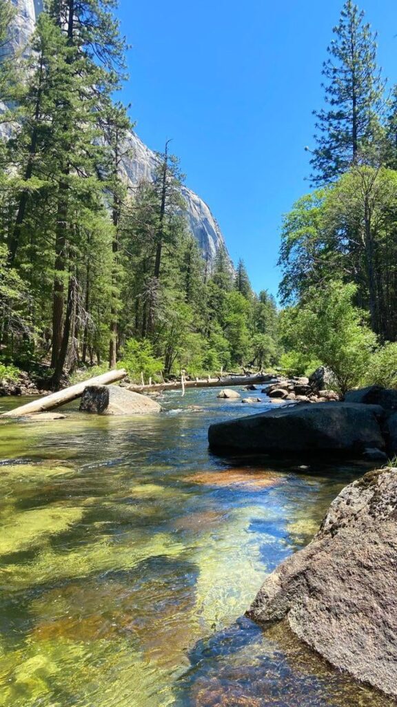 Yosemite😍
