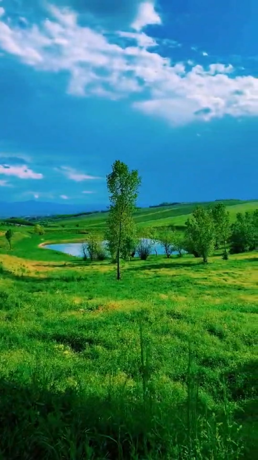 Let's not be dark only with bad news. A place in the vicinity of Leskovac. In summer of course.