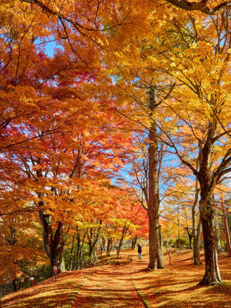 Autumn in Lake Yamanaka, Japan