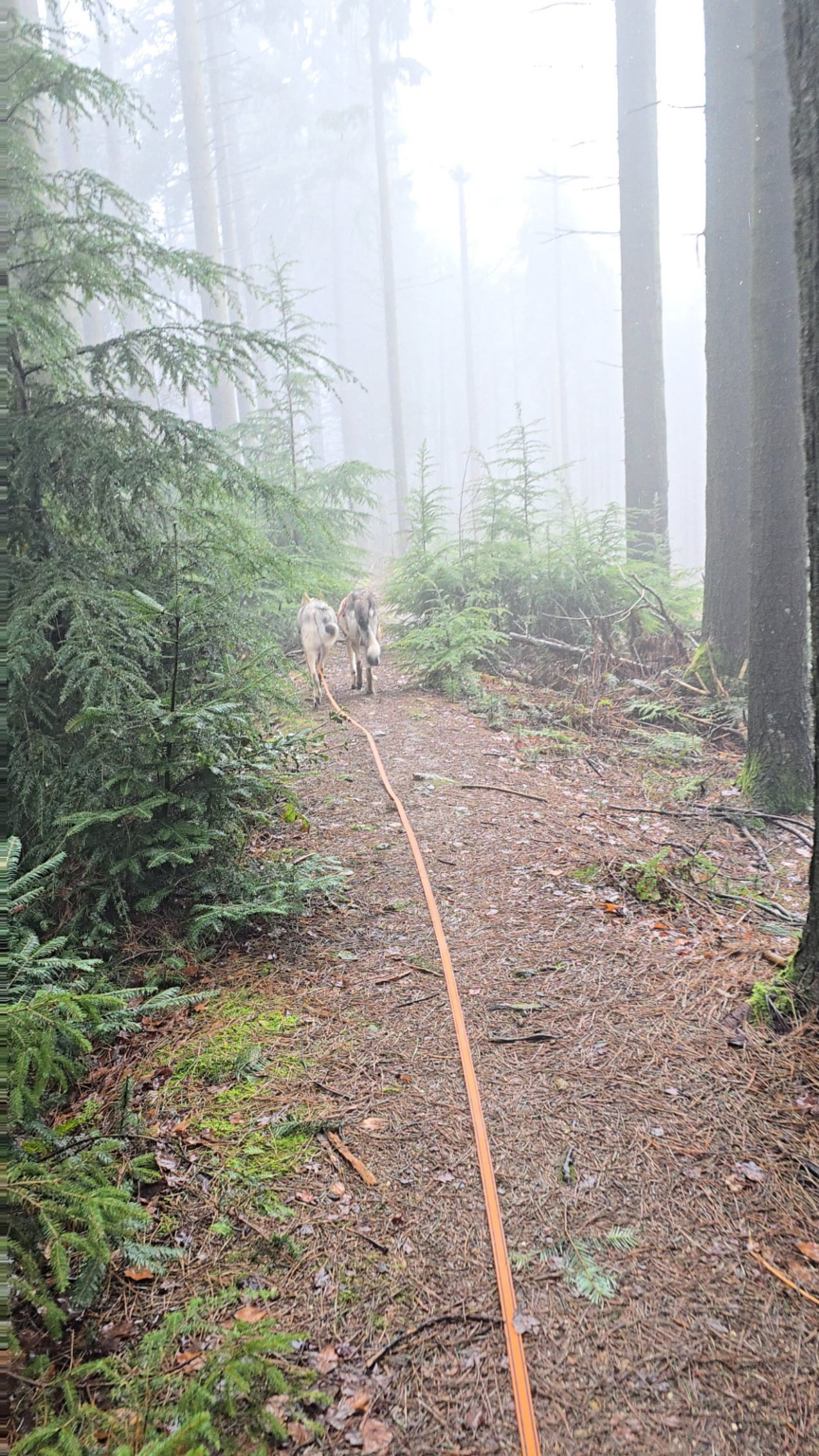 Went for a hike in Tecklenburg, Germany