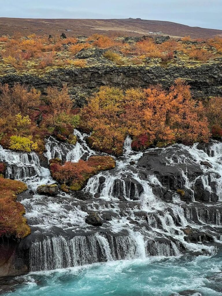 Autumn and the magnificent natural phenomenon it brings with it