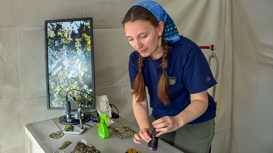 Ross Art Museum: Art and the Environment Talk Series - Emma Kline